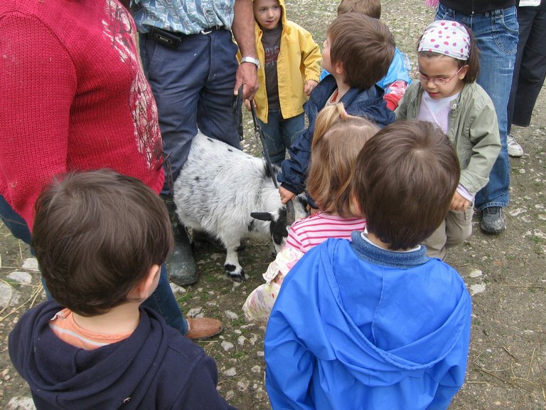 5 mai PS MS Sortie a la Ferme (87).JPG