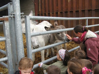 5 mai PS MS Sortie a la Ferme (9).JPG