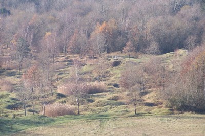 100_5772.JPG