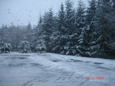 DSC04714.JPG
