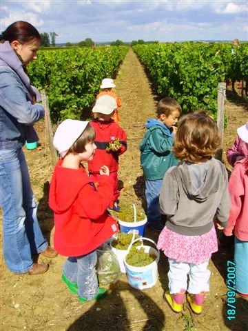 vendanges 051.jpg