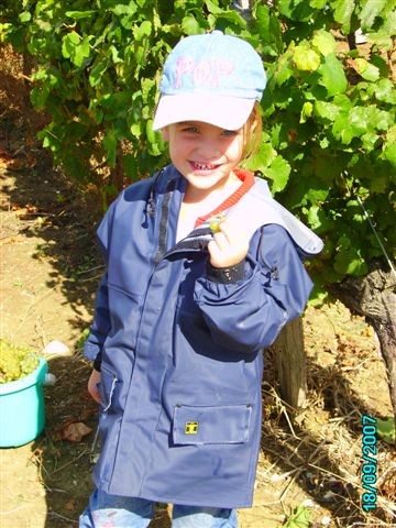 vendanges 053.jpg