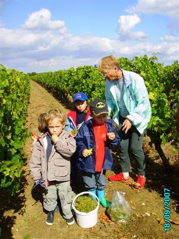 vendanges 056.jpg