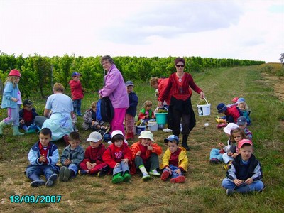 vendanges 060.jpg