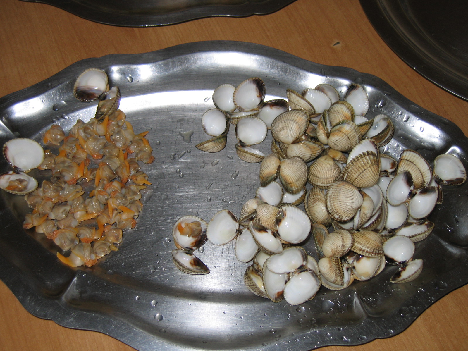 classe de mer a Bretignolles 028.jpg