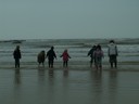 PICT0093.JPG