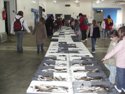 KIF_2445.JPG