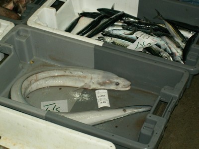 PICT0039.JPG