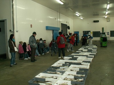 PICT0041.JPG