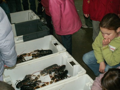 PICT0044.JPG