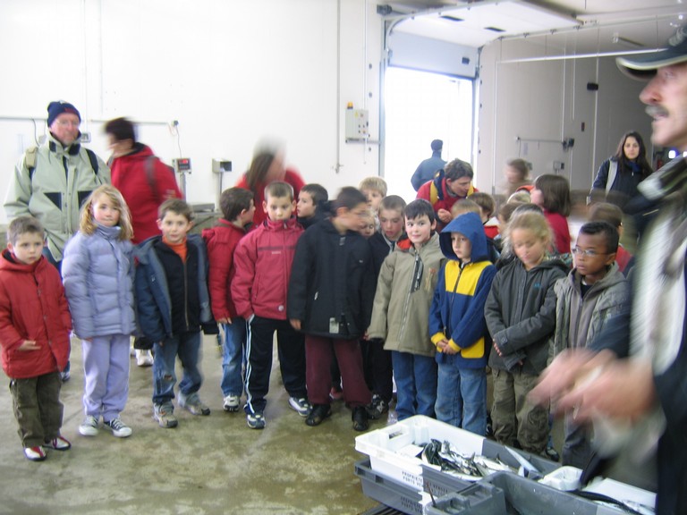 classe de mer a Bretignolles 016.jpg