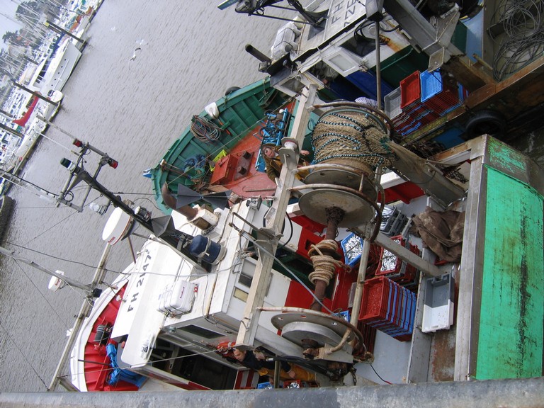 classe de mer a Bretignolles 018.jpg