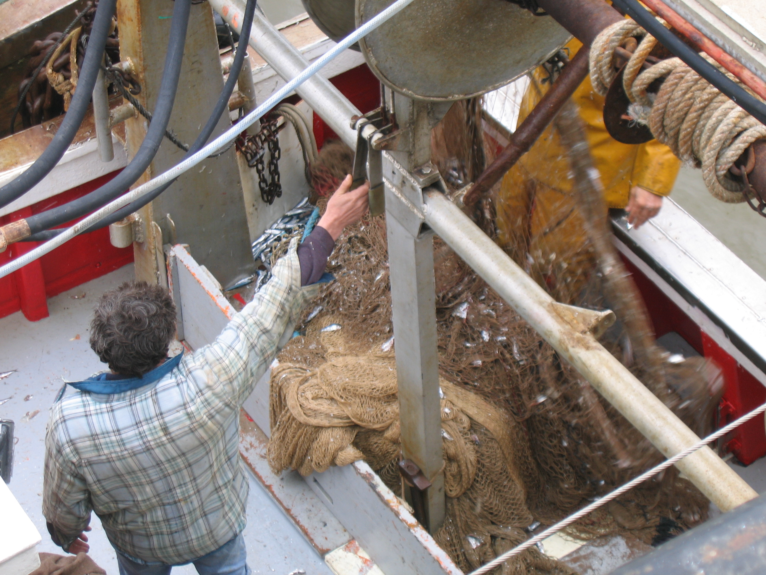 classe de mer a Bretignolles 022.jpg