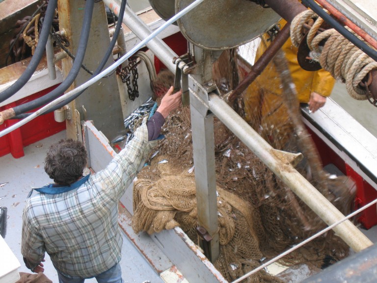 classe de mer a Bretignolles 022.jpg