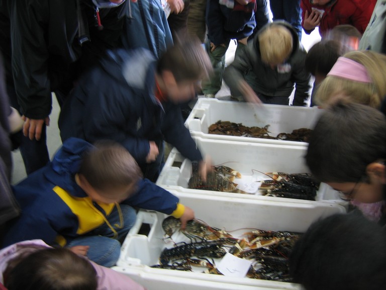 classe de mer a Bretignolles 026.jpg