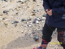 100_0103.jpg