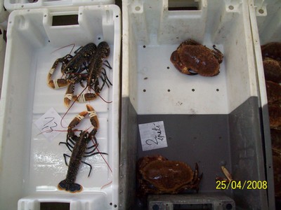 100_0185.jpg