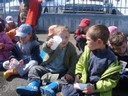 DSC00445.JPG