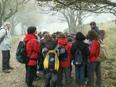PICT0030.JPG
