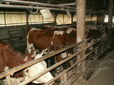 PICT0100.JPG