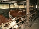 PICT0100.JPG