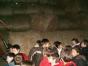 PICT0104.JPG