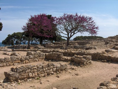HPIM4025.JPG