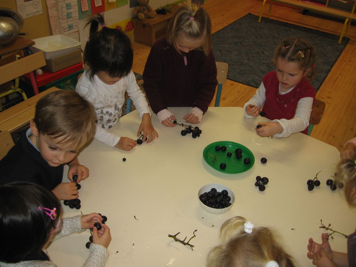 PS-MS Vouille (105).JPG