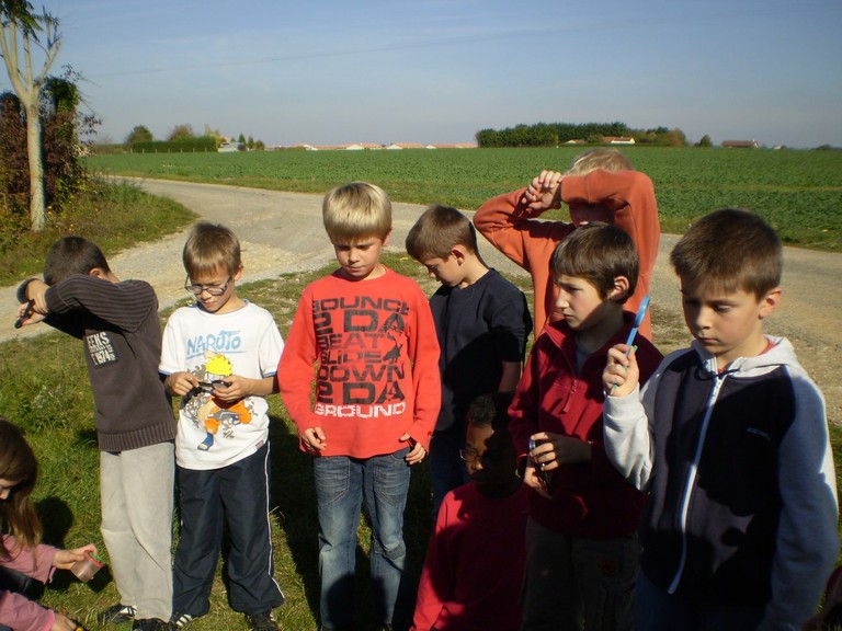 insectes mise en commun 3.JPG