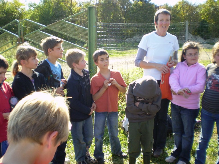 insectes mise en commun 5.JPG