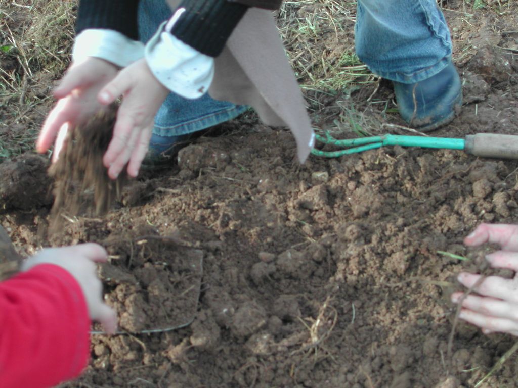 DSCN9786.JPG