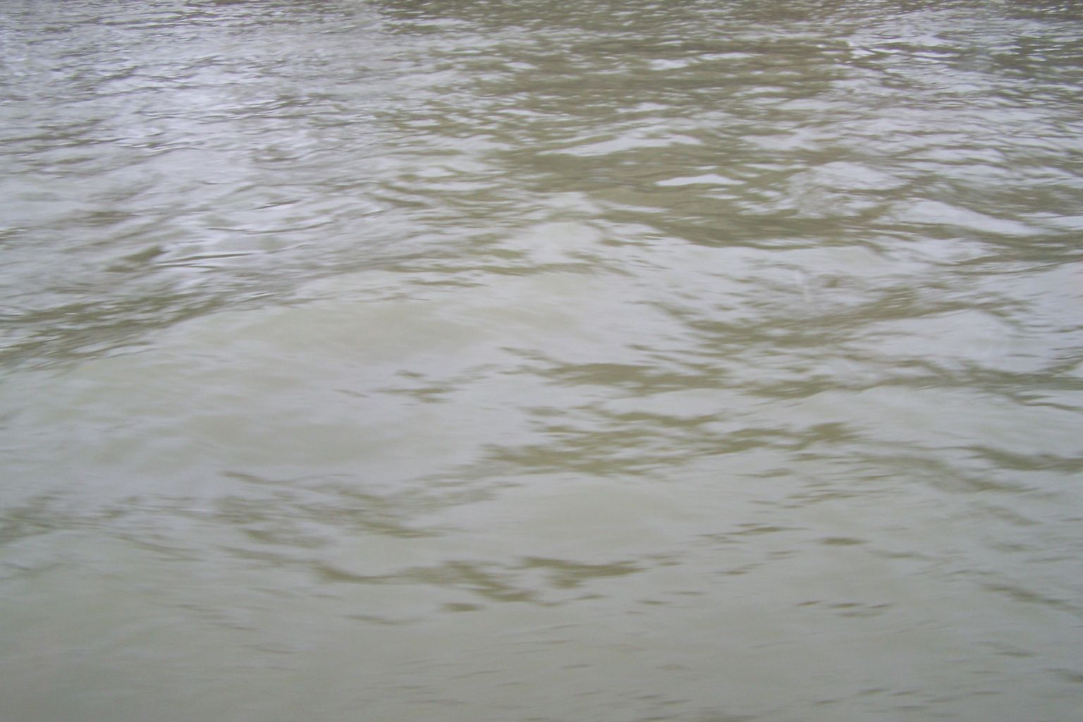 100_1386.JPG