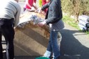 100_9227.JPG