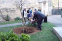 100_9295.JPG