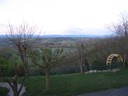 IMG_0379.JPG
