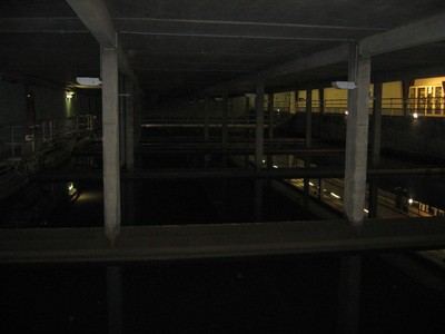 IMG_0507.JPG