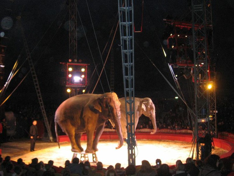 Cirque Pinder 13-03-09 (13).JPG