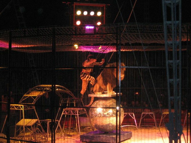 Cirque Pinder 13-03-09 (4).JPG