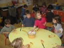 Compote (19).JPG