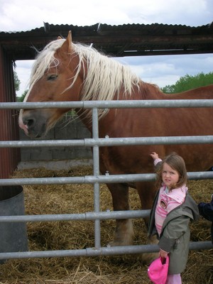 Ferme de Pierrette et Bernard (20).JPG