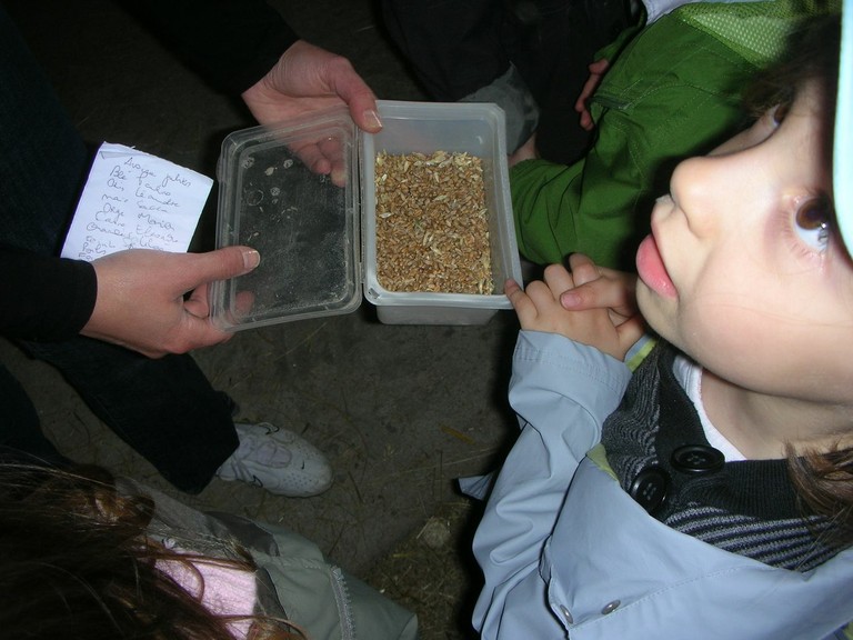 Ferme de Pierrette et Bernard (32).JPG