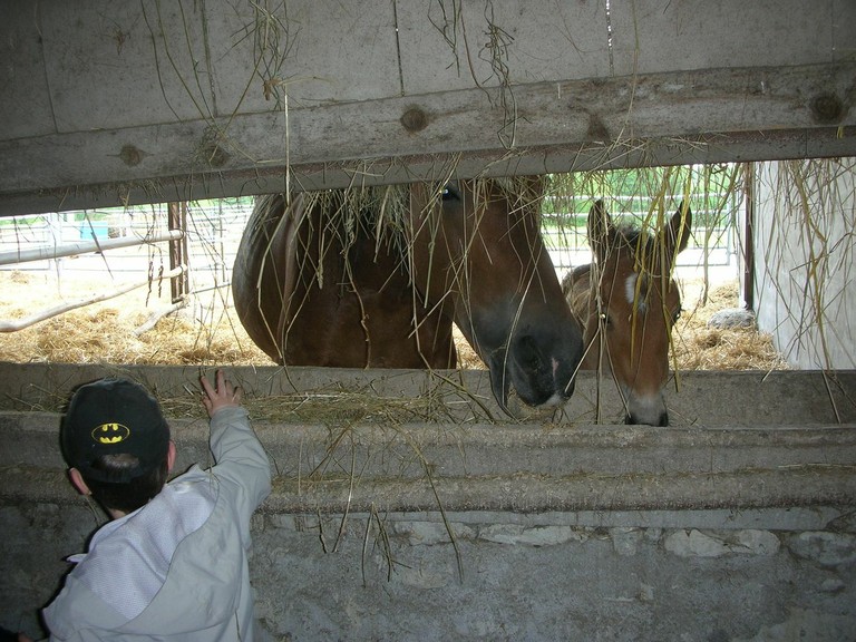 Ferme de Pierrette et Bernard (38).JPG