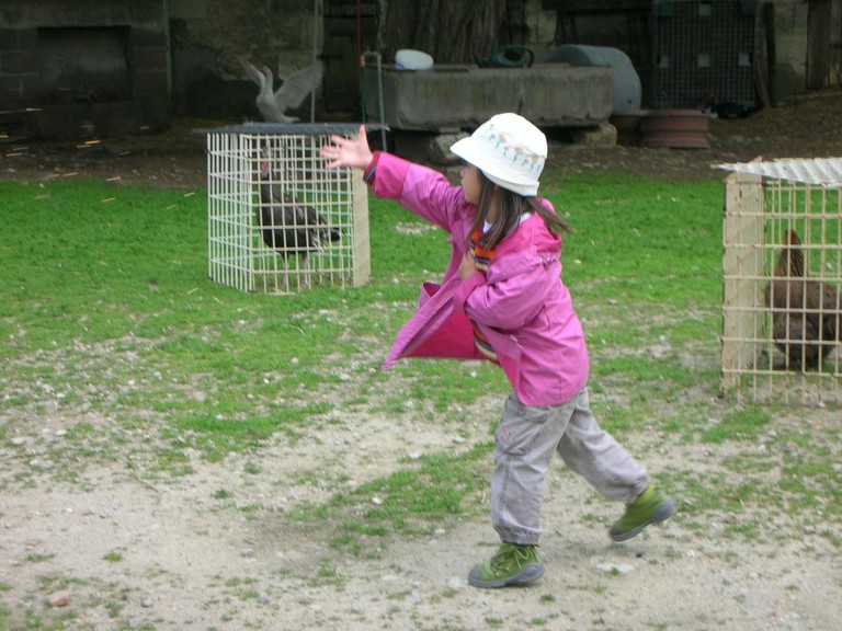 Ferme de Pierrette et Bernard (44).JPG