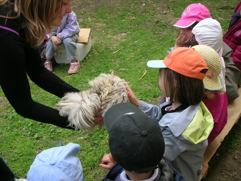 Ferme de Pierrette et Bernard (49).JPG