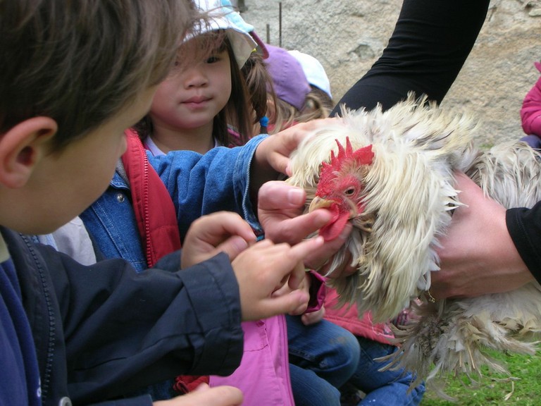 Ferme de Pierrette et Bernard (52).JPG