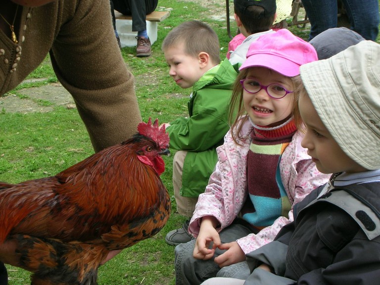 Ferme de Pierrette et Bernard (53).JPG