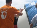 IMG_0991.JPG