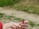 067.JPG