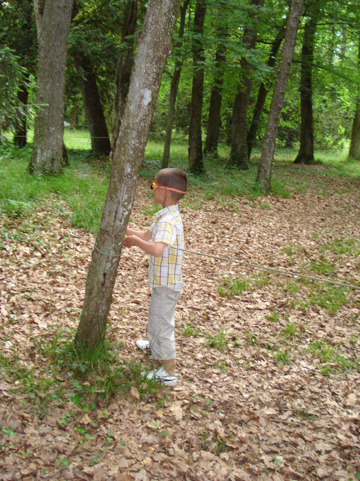 classe decouverte, beauvoir 023.jpg