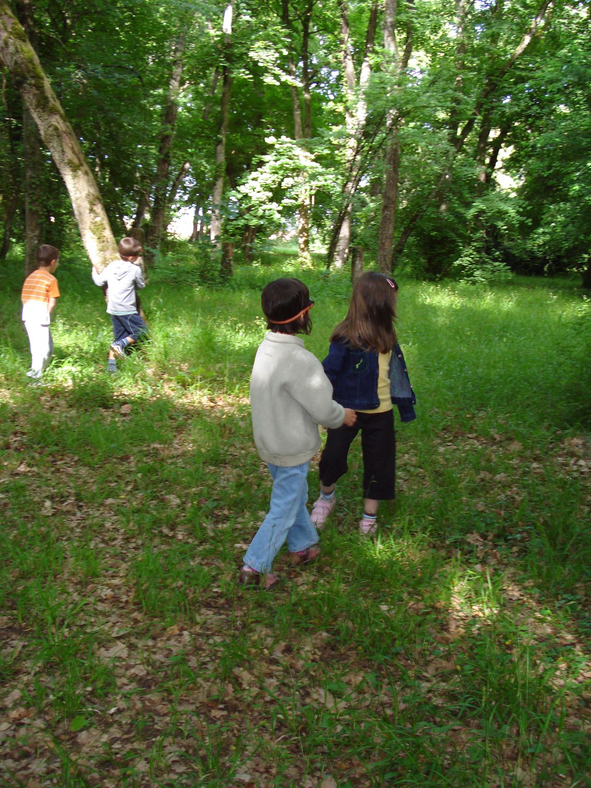 classe decouverte, beauvoir 096.jpg